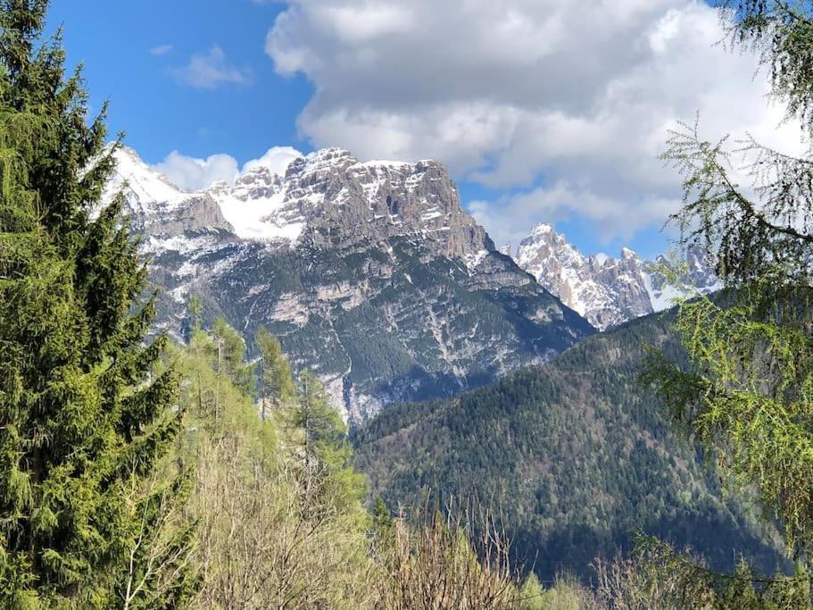 Appartamento Giada Pozzale Di Pieve Di Cadore Bagian luar foto
